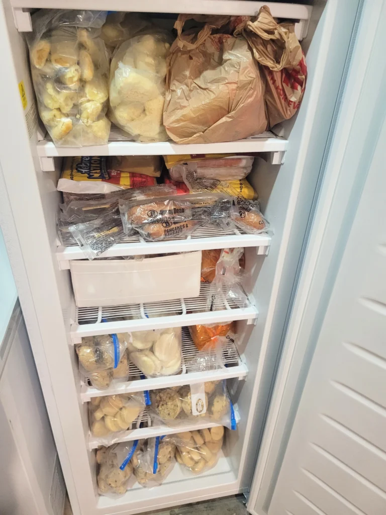 freezer-full-of-food